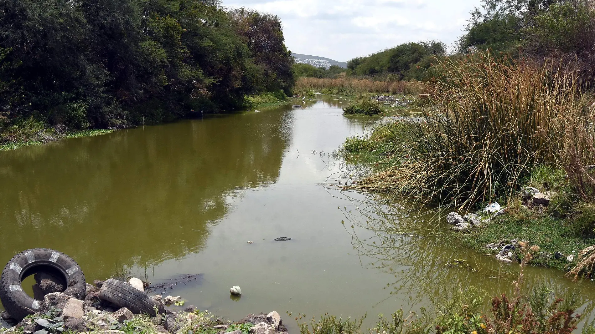 RIOS Y CANALES, VICTOR CRUZ, SOL DE IRAPUATO (6)